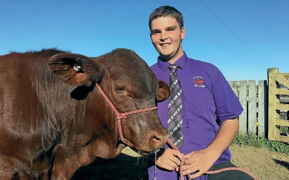  ?? SUPPLIED ?? Simeon Cook with one of his bulls.