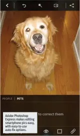  ??  ?? Adobe Photoshop Express makes editing smartphone pics easy, with easy-to-use auto- x options.