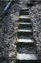  ??  ?? Also along the Ruins Trail is this set of moss-covered steps.