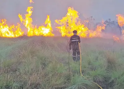  ??  ?? Los incendios forestales podrían propagarse nuevamente desde el domingo o el lunes, según estimacion­es del Cuerpo de Bomberos Voluntario­s del Paraguay. Los intervinie­ntes se tomarán un descanso, anunciaron.