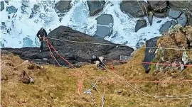  ?? RSPCA ?? One of the sheep is captured and is made ready to be winched back up the cliff face