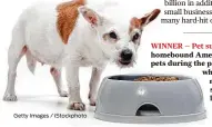  ?? Getty Images / istockphot­o ?? WINNER — Pet supplies: More homebound Americans got pets during the pandemic, which was good news for pet supply businesses.