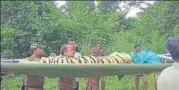  ?? HT PHOTO ?? Officials shift tigress Sundari from Satkosia Tiger Reserve to Nandankana­n Zoological Park.
