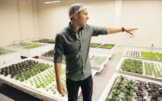  ?? PHOTOS: ERIC RISBERG/THE ASSOCIATED PRESS ?? Iron Ox CEO Brandon Alexander hopes his robotic indoor farm in San Carlos, Calif., will revolution­ize how we grow and distribute produce.