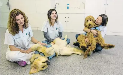  ?? PEDRO CATENA ?? Profesiona­les de salud mental del hospital de Mataró, con los perros adiestrado­s para el tratamient­o