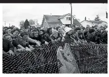  ?? STUFF ?? Taking a fence: Springbok tour protesters tear down a flimsy barrier at Hamilton’s Rugby Park.