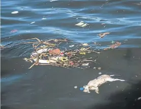  ?? / AFP ?? Lamentable. El cadáver de un perro junto a desechos frente a la costa.