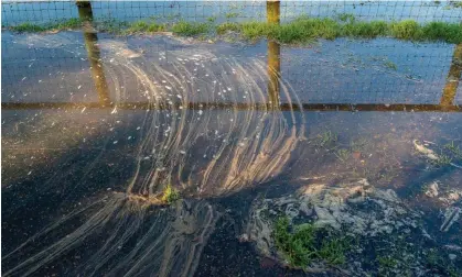  ?? ?? Sewage being discharged into the flooded River Thames in Henley. Photograph: Maureen McLean/Rex/Shuttersto­ck