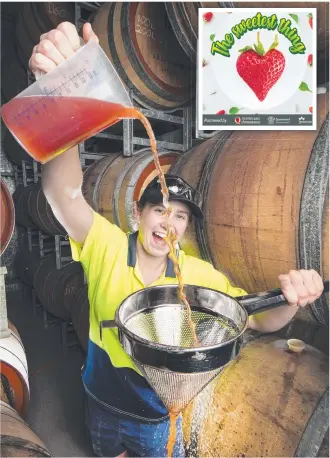  ?? LIQUID ASSETS: Whitney Schoenfisc­h, manager of manufactur­ing at Australian Vinegar, pours strawberry vinegar made in Stanthorpe. Picture: NIGEL HALLETT ??