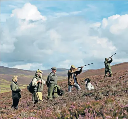  ??  ?? Field sports campaigner­s fear John Randall’s comments about grouse shooting, left and above, reflect a growing hostility to the sport in Downing Street. Right, environmen­tal activist Georgia Locock at No 10