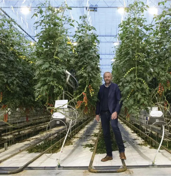  ??  ?? KNARKKUNG. Mads Pedersen är vd på Danmarks största tomatodlin­gsföretag, som nu gör en jätteinves­tering i cannabisod­ling. ”Det är jättekul om Odense kan bli en cannabishu­vudstad”, säger han.