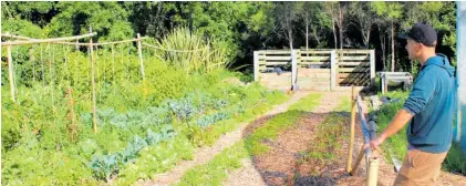  ?? Photo / Rosalie Willis ?? Mike King maintained the garden over summer while students were away.