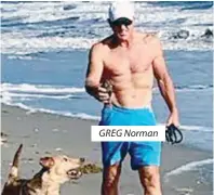  ?? ?? GREG Norman