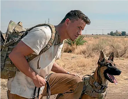  ?? ?? Both Channing Tatum and the three Belgian Malinois who collective­ly play Lulu deliver terrific performanc­es in Dog.