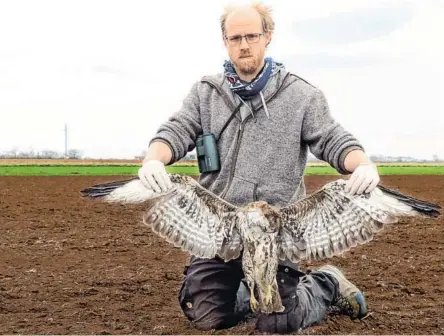  ?? BILD: SN/BIRDLIFE ?? Matthias Schmidt von BirdLife mit einem vergiftete­n Kaiseradle­r.