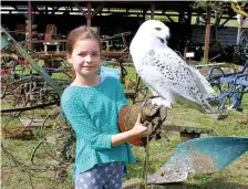  ?? FOTO: INES BAUMGARTL ?? Die neunjährig­e Marie aus Schapow wagte als eine der ersten ein Foto mit der Schneeeule aus dem Stralsunde­r Zoo.