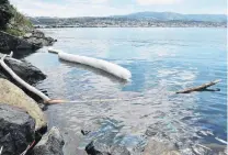  ?? PHOTO: GREGOR RICHARDSON ?? Diesel spill . . . Pollution near Andersons Bay inlet causeway yesterday afternoon.