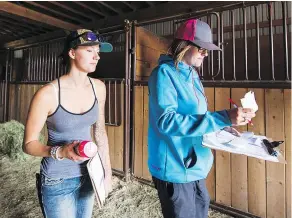  ??  ?? Lexy Fowlie, left, and Chelsea Wallach, who is coordinati­ng the evacuation of horses from areas affected by the wildfires, check the stables at the Prince George Exhibition Grounds Monday.
