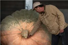  ?? ?? Leonardo Urena treats his pumpkins like family. Photograph: Gabrielle Canon/The Guardian