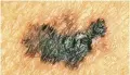 ??  ?? Self-examinatio­n for any new moles or changes in existing moles should be routine; however, a regular visit to your dermatolog­ist is always the best health care practice.