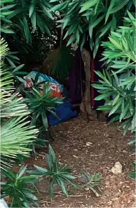  ?? ?? Hidden among trees or using benches, around 40-50 people are sleeping rough in Paceville.