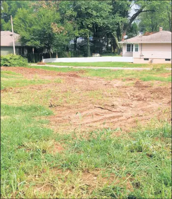  ?? AMY LAVALLEY/POST-TRIBUNE ?? These two lots on the north side of Union Street between Morgan Boulevard and Valparaiso Street are the proposed site of Respite House’s second halfway house for men in recovery from addiction.