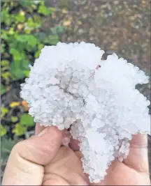  ??  ?? In the wake of Tuesday morning’s cold front, Catherine Hamilton stepped outside to find this in her yard in Anagance New Brunswick.