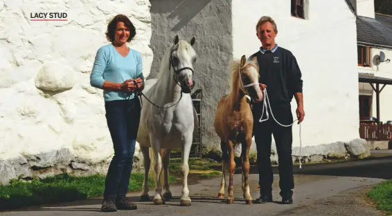 ??  ?? Sarah and Colin with Cuddy in-hand supreme finalist Fouroaks Coco Chanel and her foal