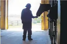  ??  ?? Pablo Lancaster greets Dancer while working in the barn.