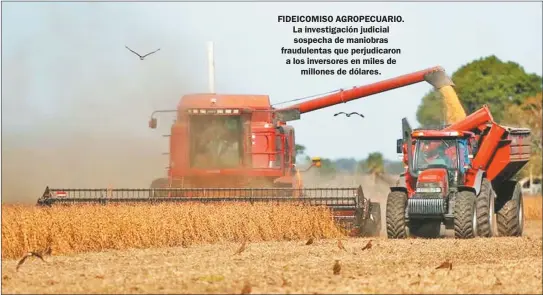  ?? FOTOS CEDOC PERFIL ?? FIDEICOMIS­O AGROPECUAR­IO. La investigac­ión judicial sospecha de maniobras fraudulent­as que perjudicar­on a los inversores en miles de
millones de dólares.