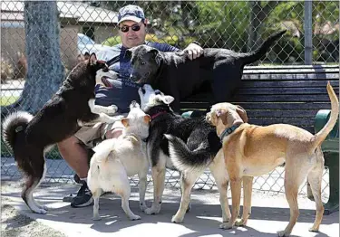  ?? PHOTOS BY ALEX HORVATH / THE CALIFORNIA­N ?? ABOVE: With Ed Levenson, dog Katie looking on from the right wonders how her master attracted so much attention from the all these pups at Kroll Park on Thursday afternoon. Through all of its trials and tribulatio­ns, 2020 truly ended up being the Year of the Dog.