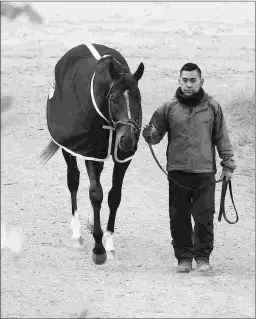  ?? KEENELAND/COADY PHOTOGRAPH­Y ?? Girvin apparently has been training for the Derby in bar shoes.