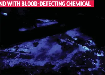  ??  ?? Chilling discovery: The living room of Julie Reilly’s flat showed no trace of violence – but in the image on the right, the chemical Luminol reveals a bloodbath