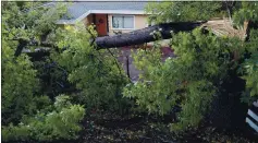  ?? ARIC CRABB — STAFF PHOTOGRAPH­ER ?? A large tree lies across the front yard of a home on Colton Boulevard in Oakland after it was knocked down by strong winds on Monday.