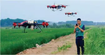  ??  ?? July 23, 2018: A drone operator works in a paddy field in Shuangyash­an City, Heilongjia­ng Province. VCG