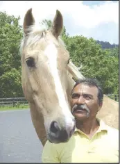  ?? Photo by Nina Mckee ?? Profession­al horseman Martin Maldonado started Ramona under saddle for owner Nina McKee, who says the American Saddlebred mare, 7, seems best suited for distance riding, but Maldonado has been swinging a polo mallet off her "just for fun."