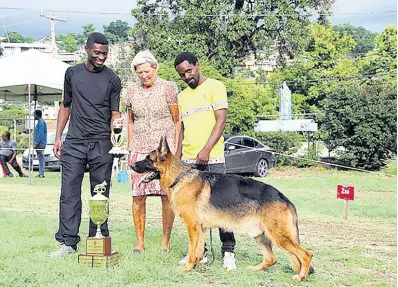  ?? CONTRIBUTE­D ?? German Shepherd Club of Jamaica general secretary Dr Nashon Mitchell (left) presents the trophy for top German Shepherd for 2019 to champion dog Nera della Terrazza and owner Richardo Darby (right) while internatio­nal judge Anne-Chaterine Edoff looks on at the German Shepherd Club of Jamaica All Breed Championsh­ips held at the Jamaica 4-H Clubs in St Andrew on Sunday, November 17.