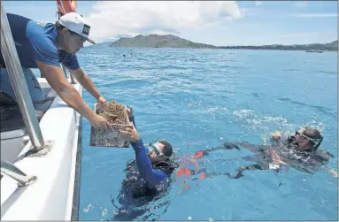  ?? [TATE DRUCKER/THE NATURE CONSERVANC­Y] ?? A box of nursery-grown coral is handed to a diver last week off the coast of Praslin, where coral is being reintroduc­ed, in the Seychelles island chain. The tiny island nation has designated nearly a third of its ocean waters as protected areas.