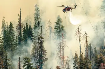  ?? NOAH BERGER/AP ?? A helicopter drops water Saturday on the Washburn Fire burning in Yosemite National Park, Calif. The latest fire to threaten the park’s giant sequoias started Thursday.