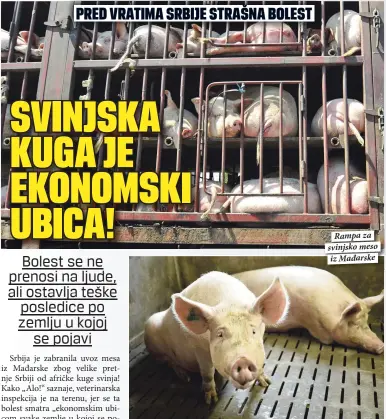  ??  ?? Rampa za svinjsko meso iz Mađarske