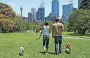  ?? [THINKSTOCK PHOTO] ?? Remember to clean up after your dogs in public areas.