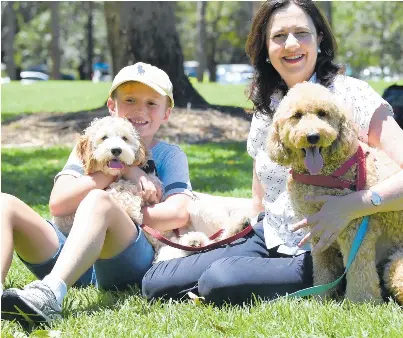 Palaszczuk First Threeterm Female Premier Pressreader