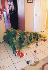  ?? COURTESY OF LYDIA DAUGHTRY ?? Intruders left the family’s Christmas tree in shambles while burglarizi­ng the home on Dec. 15.