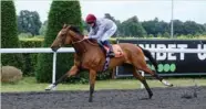  ?? (John Hoy) ?? Jim Crowley rides Katara to Fillies’ Novice Stakes victory at Kempton, United Kingdom, on Wednesday evening.