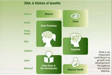  ??  ?? DHA is an important contributo­r to
growth and developmen­t throughout the human
lifetime.