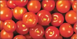  ??  ?? بريق الطماطم لا يعني بالضرورة أنها طازجة فقد يكون بفعل المبيدات الضارة