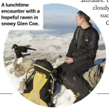  ??  ?? A lunchtime encounter with a hopeful raven in snowy Glen Coe.