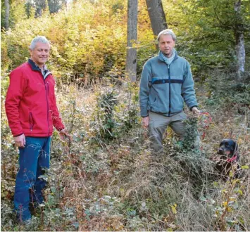  ?? Fotos: Horst von Weitershau­sen ?? Johann Stuhlenmil­ler (links) und Marc Koch in einer Lichtung mit erfolgreic­her Naturverjü­ngung. Im Hintergrun­d eine Windwur‰ flücke, die mit Eiche, Buche und Bergahorn aufgeforst­et wurde.