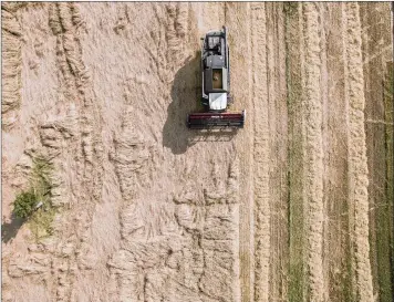  ?? I AKOS STILLER Bloomberg ?? A COMBINE harvester drives through a field of wheat during the summer harvest on a farm in this aerial photograph taken by a drone in Hungary.