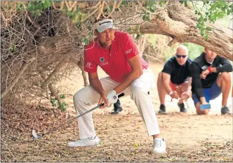  ??  ?? Ian Poulter plays from under a bush on the 16th hole yesterday